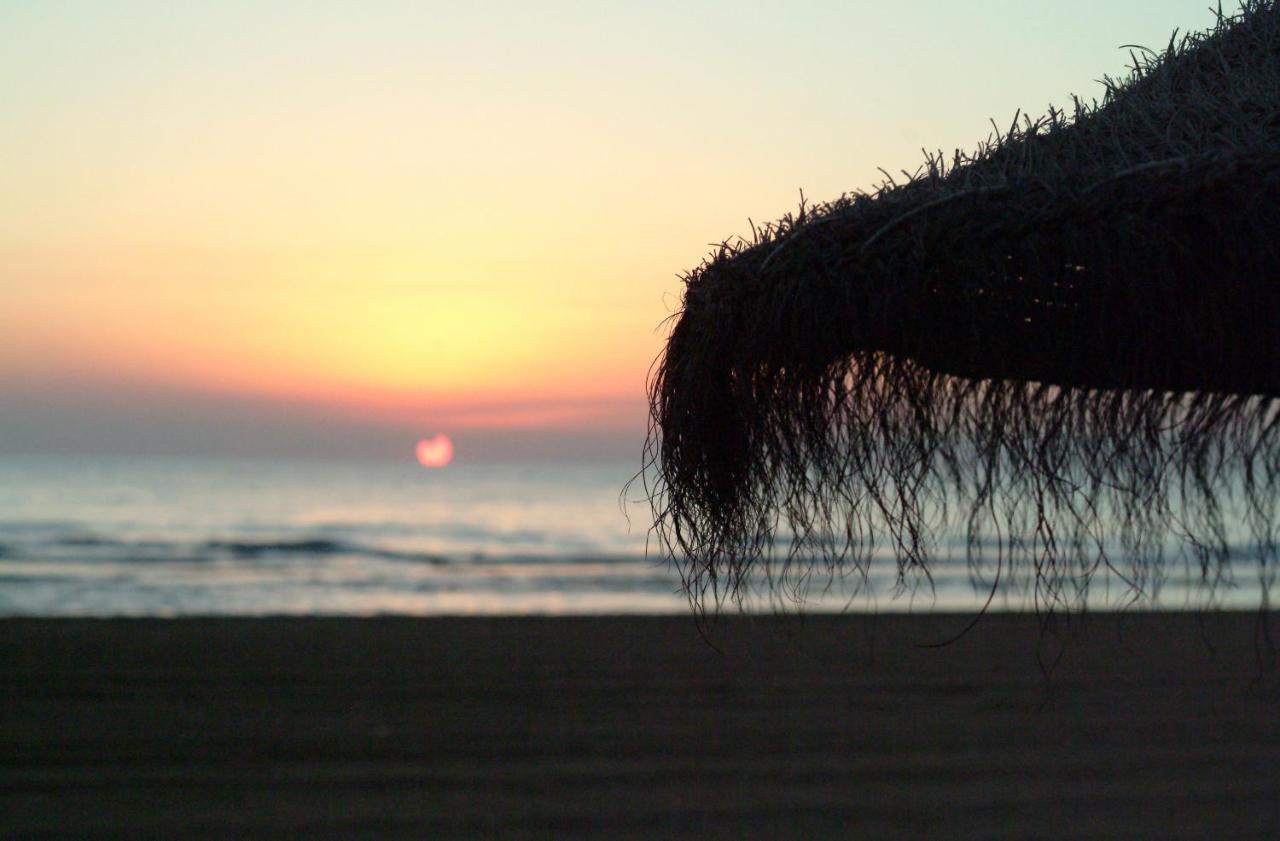 Playa de Gandia Ag Las Sirenas מראה חיצוני תמונה